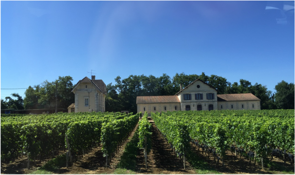 Bordeaux