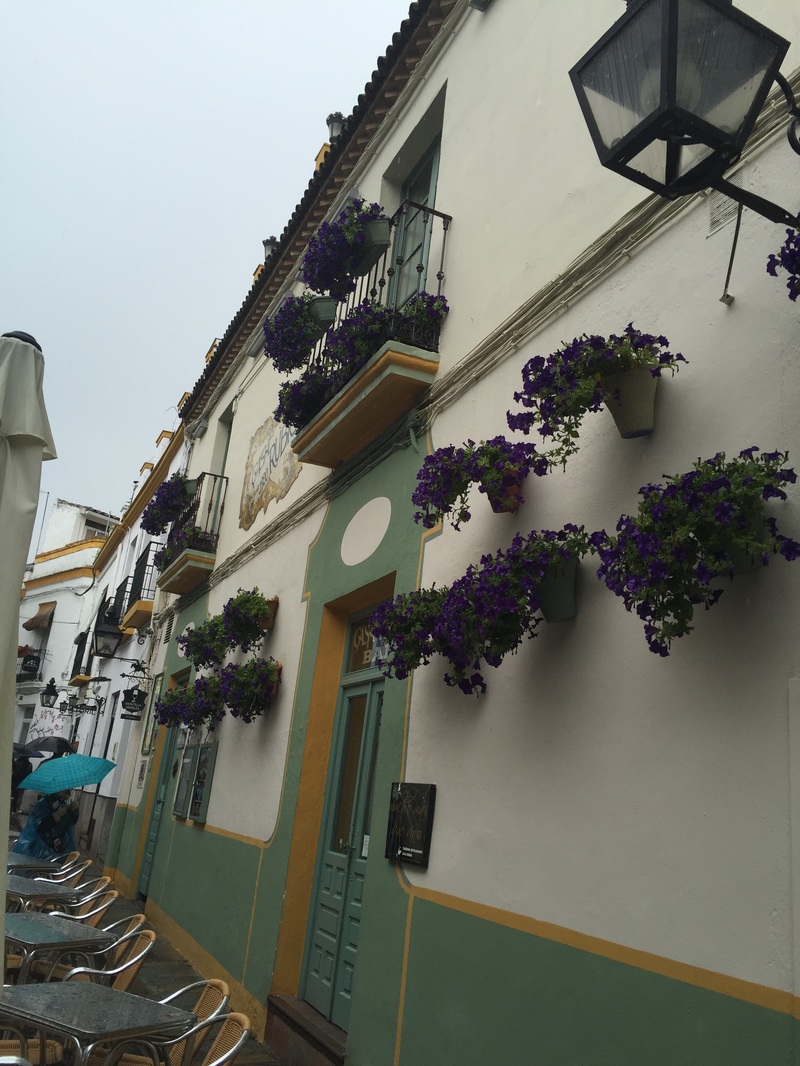 Cordoba