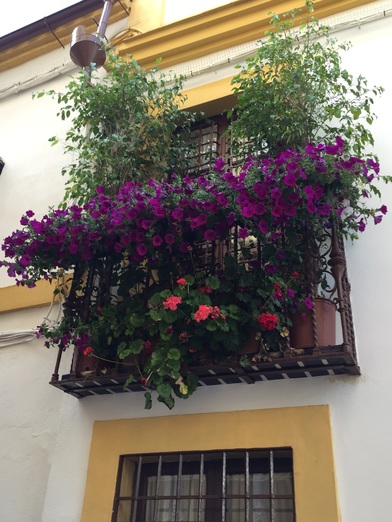 Cordoba