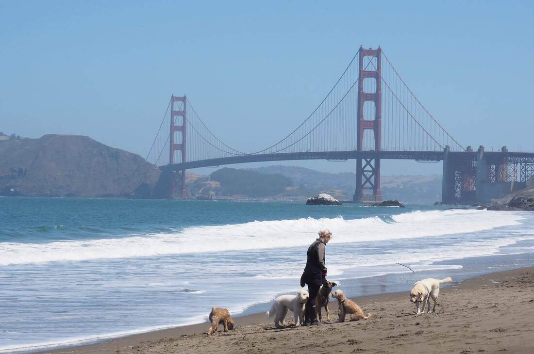 San Francisco