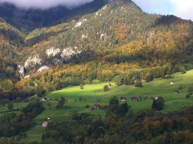 Zürih
